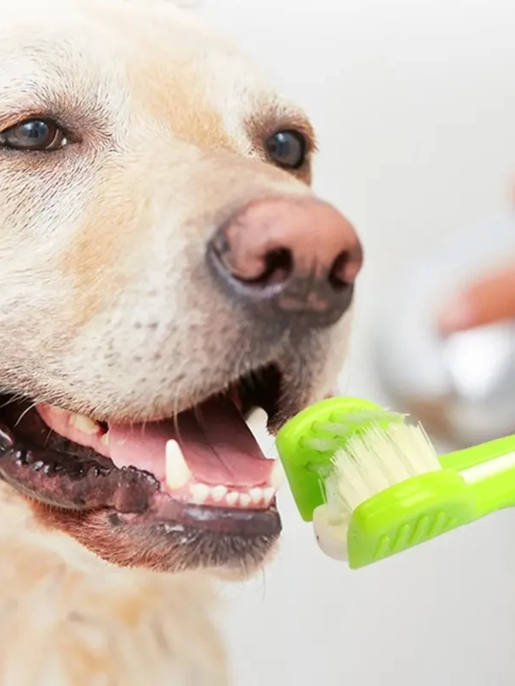Brosse à dents pour animaux de compagnie, 1 pièce, nettoyage de la bouche du chien, multi-angle à trois côtés, nettoyage des dents du tartre, outil de soins de santé, fournitures pour animaux de