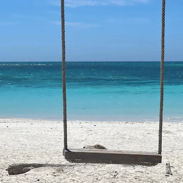 

JX Servo BLS6534HV Цифровой сервопривод — крутящий момент 33 кг, бесщеточный, 6 В-7,4 В, металлическая шестерня, для радиоуправляемых автомобилей и вертолетов