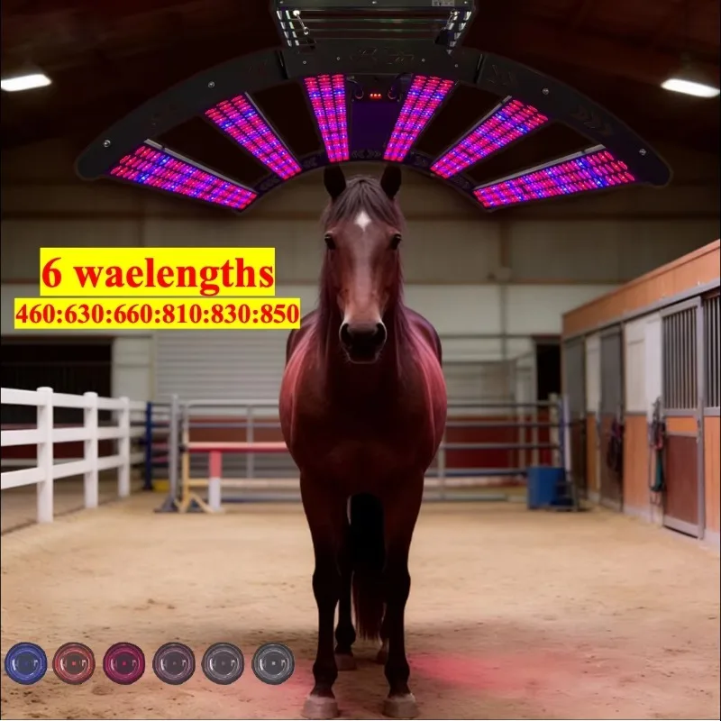

552 Pcs Leds Solarium Equine Horse Full Body 6 Wavelength Near Infrared Red Light Led Therapy Solarium Pony Bar 1.8M