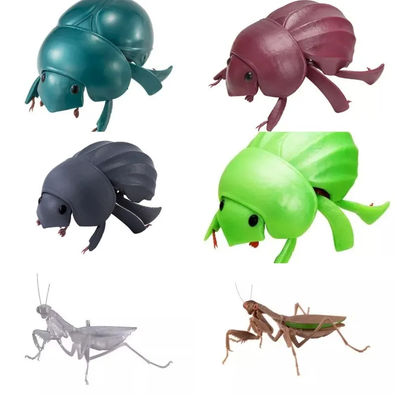 

BANDAI Japan Original Beetle Action Figure Kawaii Gashapon Artificial Insect Cute Biology Map Capsule Toys Anime Figurine Model
