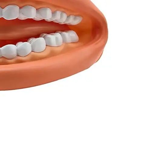 1 Set Dental Model Mighty Mouth Hand Puppet With Tongue Dentist / Educational Learning Resource For Children For Speech Therapy