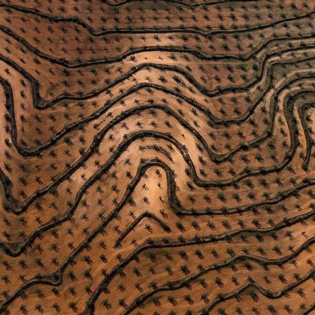 Android12 For Jagua… - image