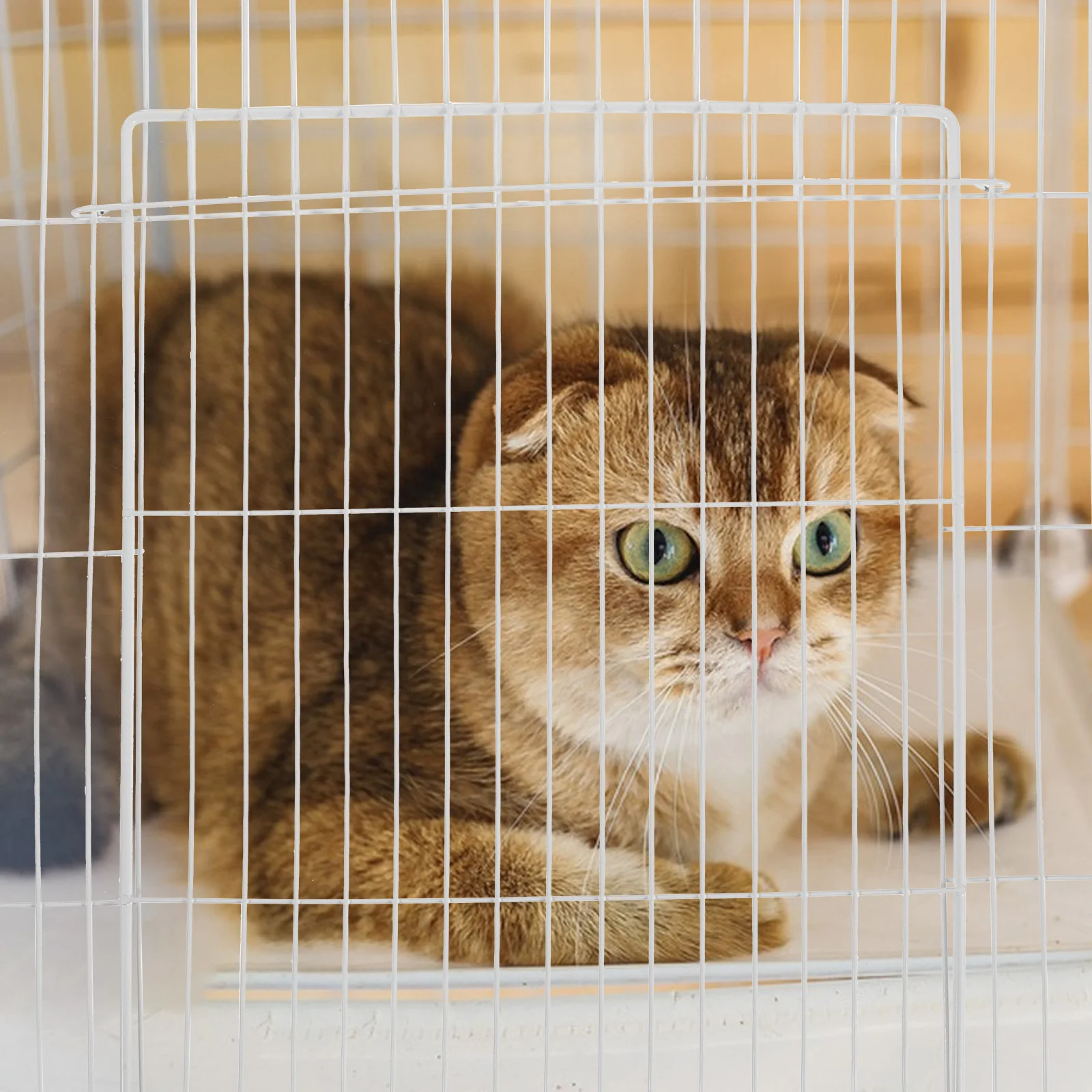 

35X45Cm Screen Panel Iron Metal Mesh Replacement For Pet Frame Secure Inward Folding Design Dense Mesh Structure For Indoor