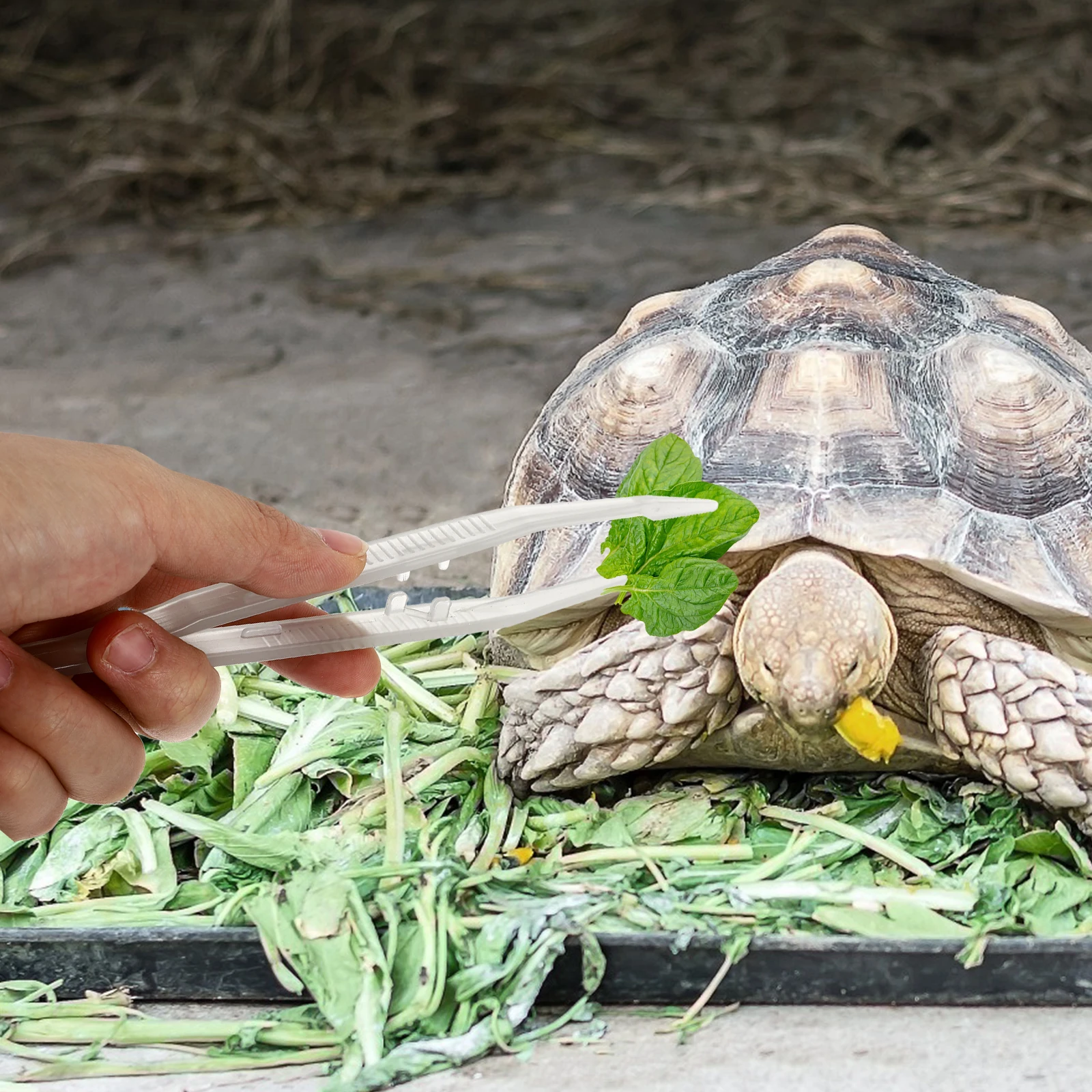 

2Pcs Reptile Luminous Tweezers Premium PP Material Safe Practical Durable Easy Use Reptiles Lizard Scorpion Spider Feeder