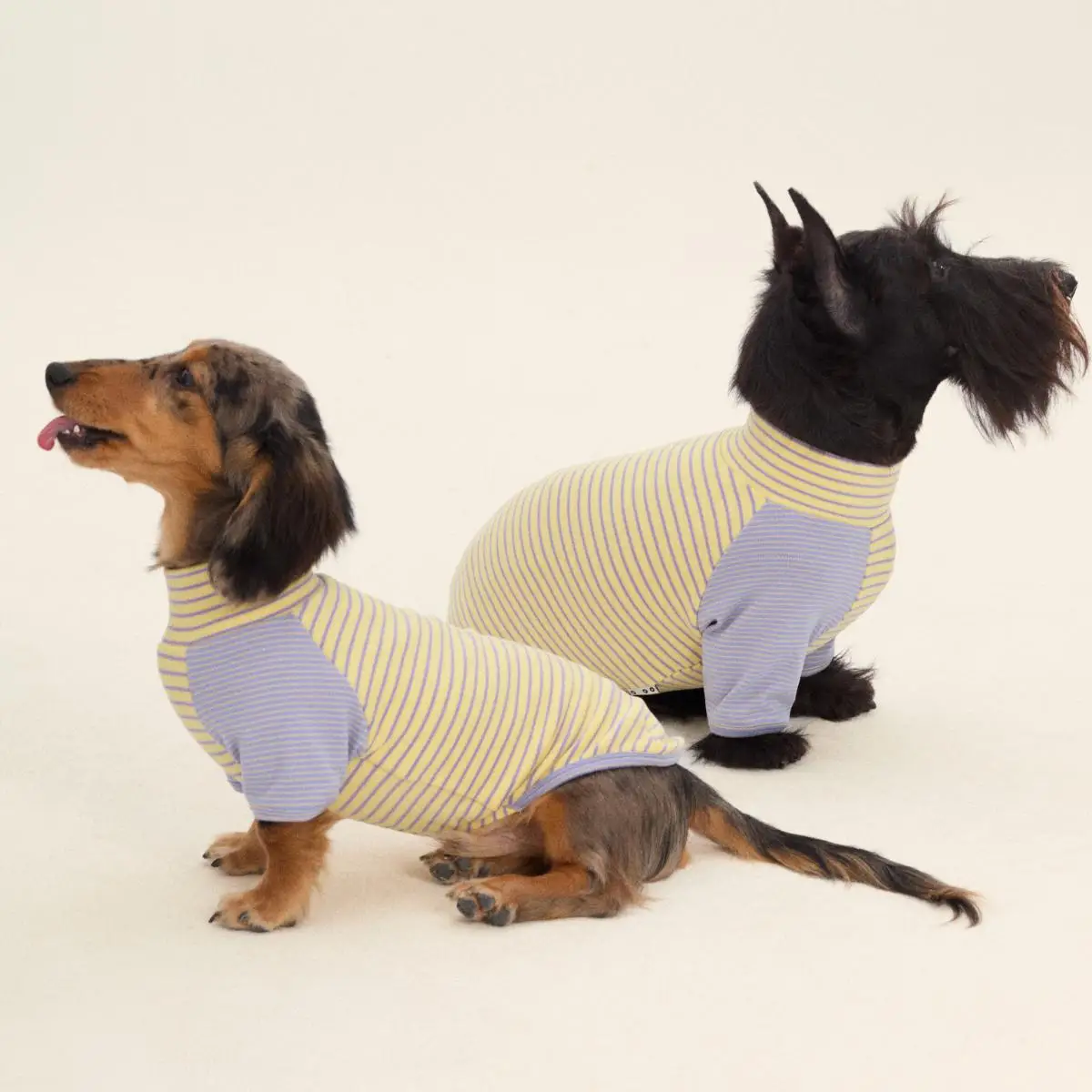 Fashion Stripe 2-legged Dachshund Dog Clothes Warm Elastic Sweater for Wiener Dog Clothes Winter Spring Dog Costumes for Sausage