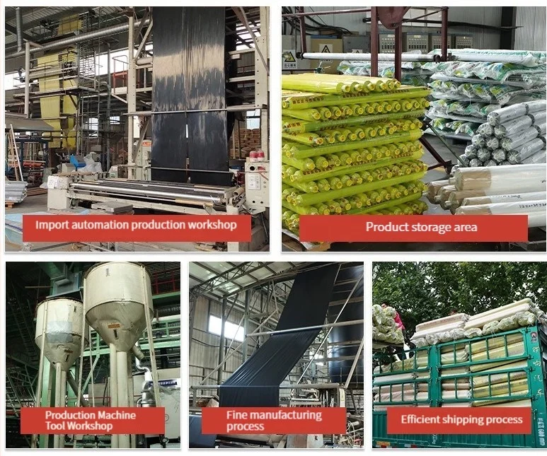 제조업체 좋은 품질 흑백 필름 농업용 6mil 폴리에틸렌 팬더 필름 흑백 플라스틱 시트 롤 커버링