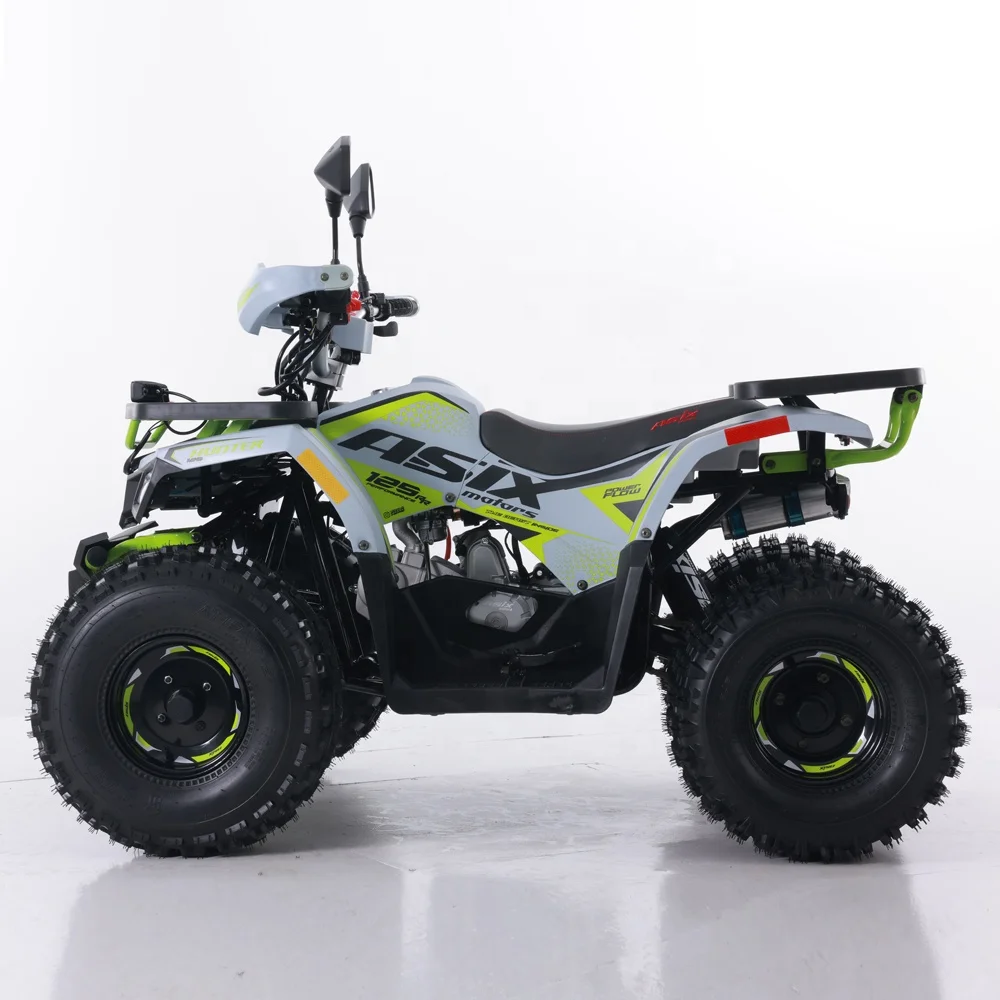 Tao Motor 2024 New ATV 125 Cheap Chinese Automatic Chain Drive Farm ATV 125cc ATV