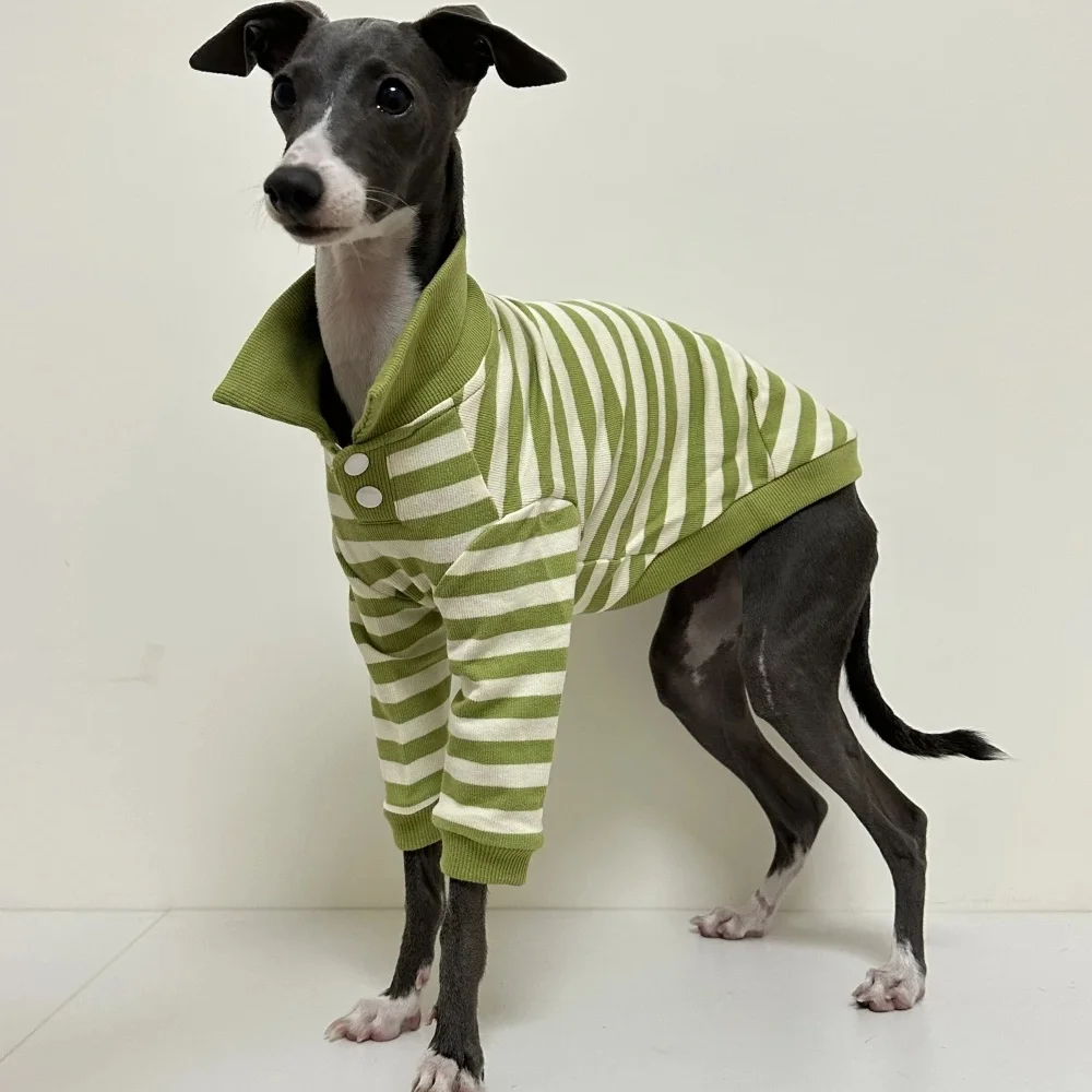 Green Striped Polo Shirt for Dogs in Spring Soft Elastic Cotton Coat for Bedlington Italian Greyhound Soft Loungewear in Autumn view 4
