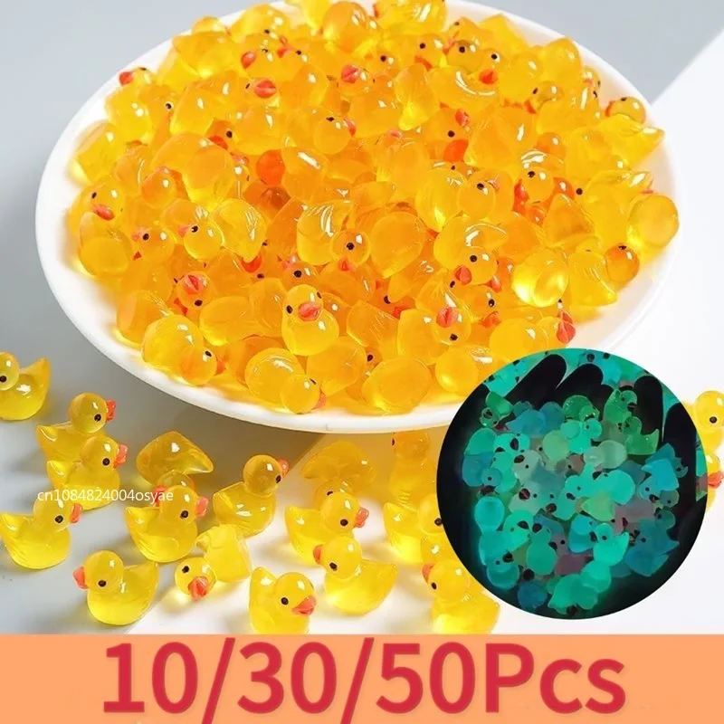 10/30/50 Mini anatroccoli che si illuminano al buio con micro paesaggio muschio, accessori da giardino fatato, luce notturna per decorazioni per la casa