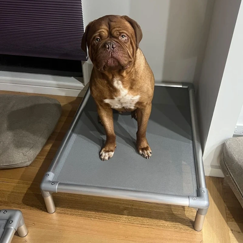 Aluminum frame, easy to assemble, aluminum elevated dog bed, washable, lightweight, suitable for household and travel pet beds