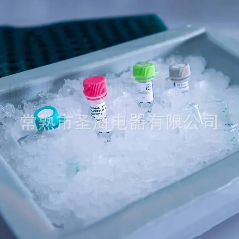 Customizable Laboratory Granular Flake Ice Maker, Low‑Noise Machine for Scientific Lab Sample Preservation