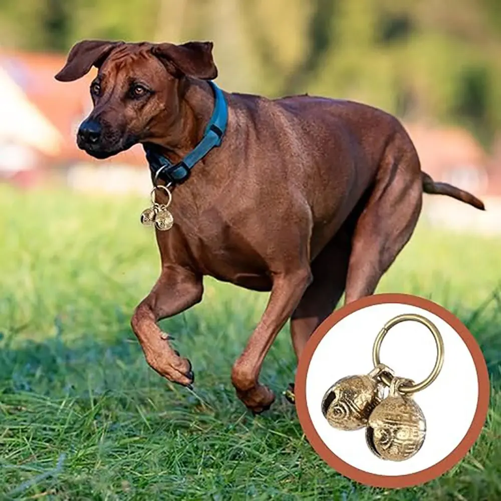 Decorative Brass Pet Collar Bells Anti Theft Extra Loud Dog Charm Bells Jingle Bells Key Rings Pet Pendant Bells Pets Training - view 3