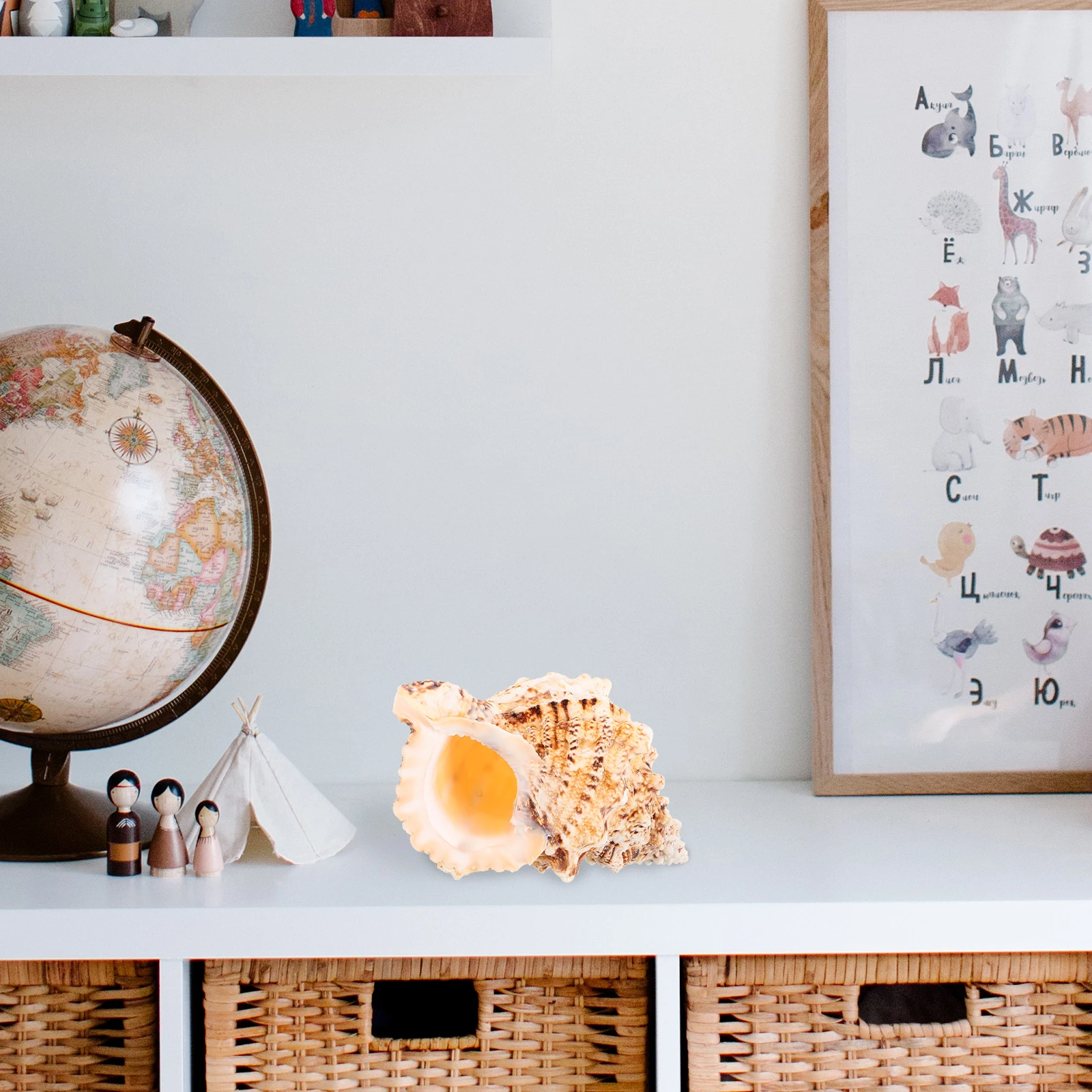 

Large Natural Conch Shell For Fish Tank Aquarium Home Decor Craft Beach Party Diy Seashell Ornament Decorative Conch Adorn