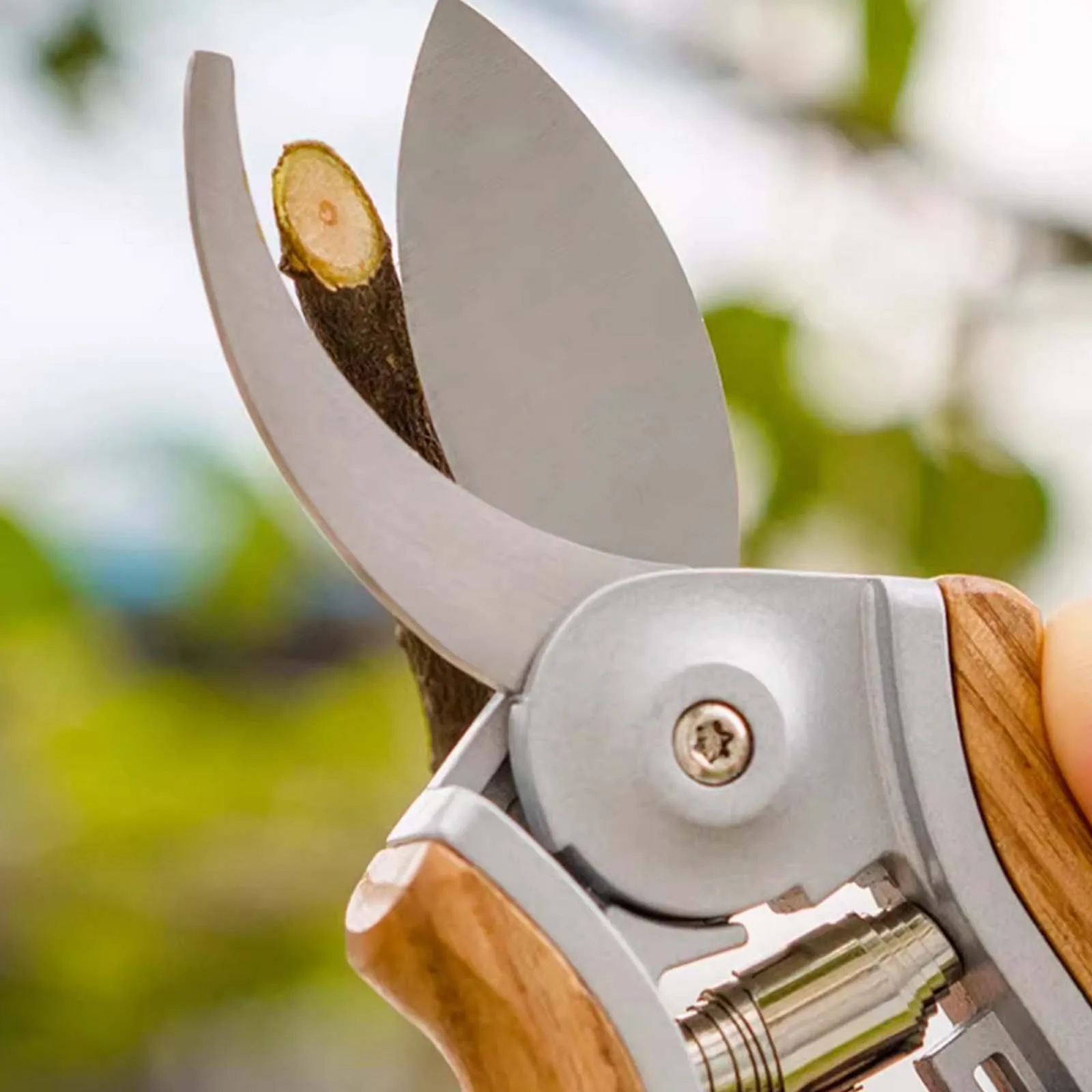 مقص قطع فرع زهرة الغابات والبستنة، مقصات تقليم منزلية بوعاء