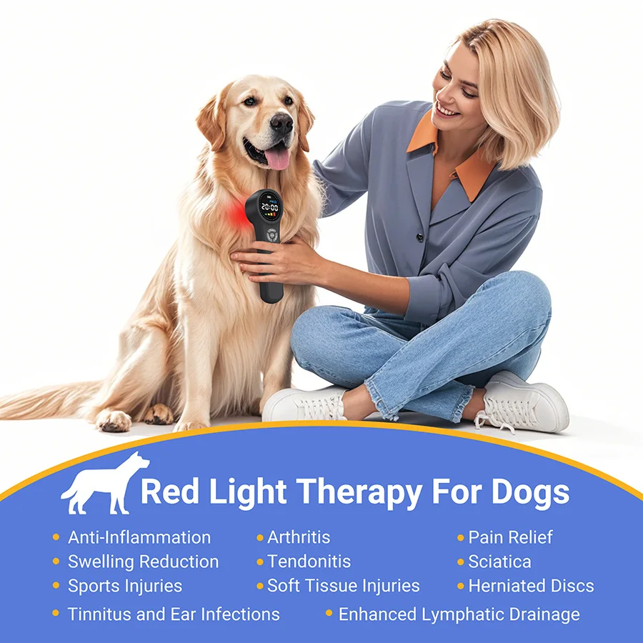 2026 Low Level Red Laser Therapy for Knee Pain Arthritis Shoulder Herniated Disc 908nm 810nm 650nm 1760mW CE Approved