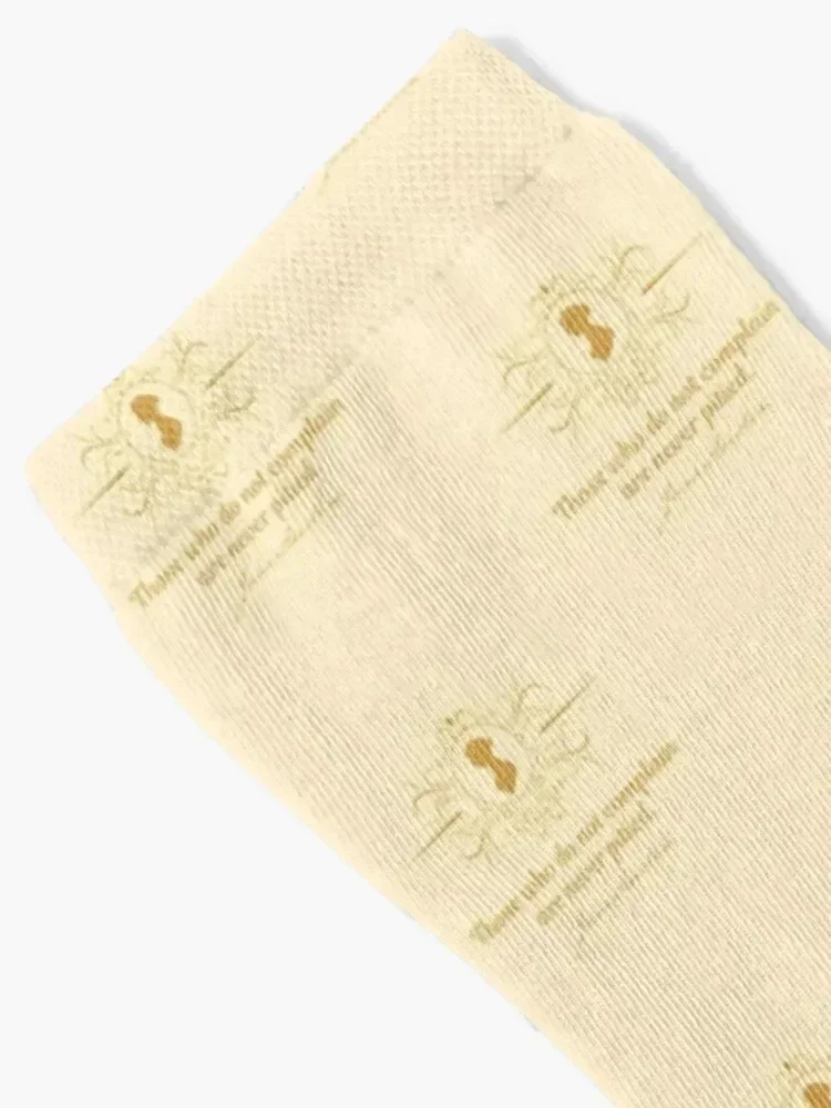 Jane Austen Vintage Book Club Mr. Darcy Fans Literary Quotes Gifts Socks christmass gift Christmas short Men Socks Women's