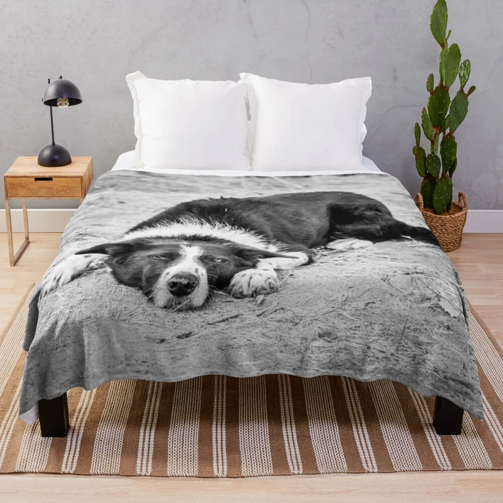 Black and White Border Collie Lying on Ground Throw Blanket