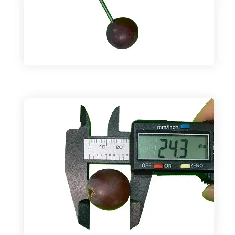 Professinal medical  ear wax  removal machine  for ear stones   ear cleaner
