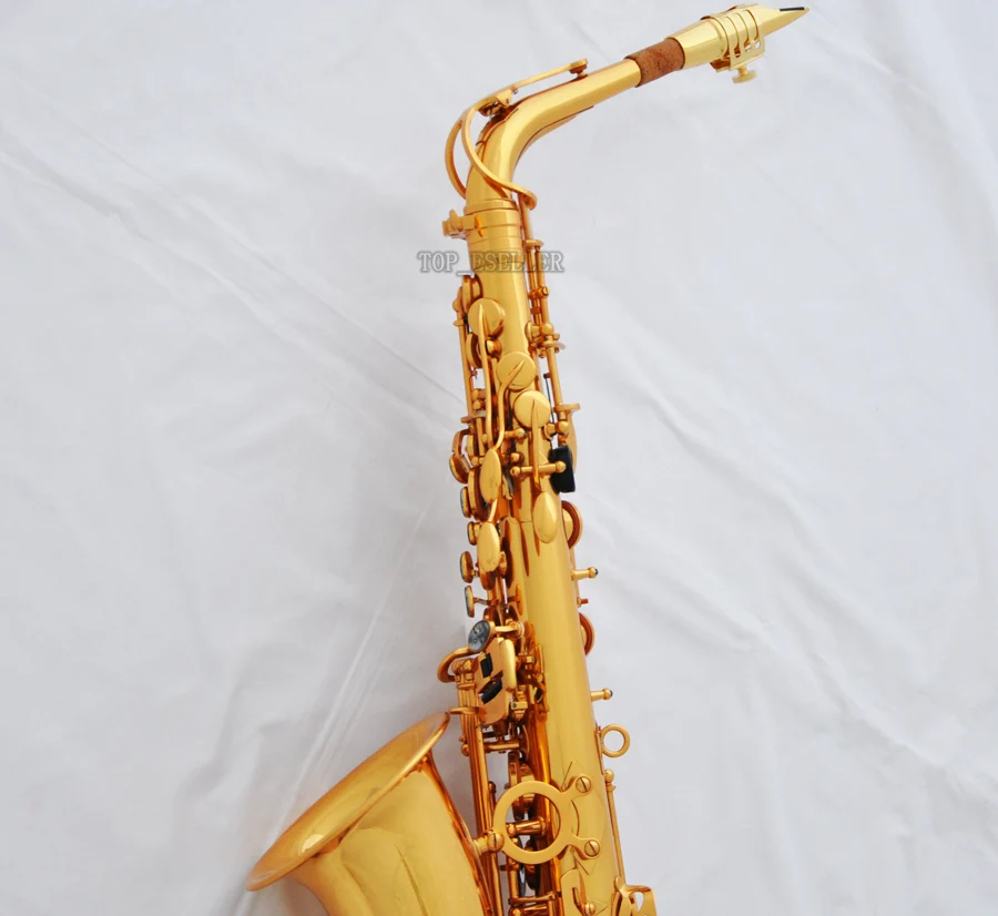 

Professional New Gold 54 Reference Eb Alto Saxophone Sax +Pro Metal Mouthpiece 2025
