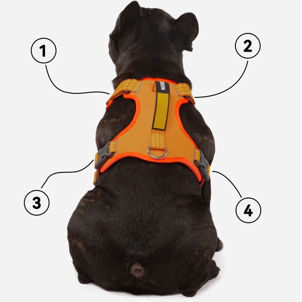 New Type of Dog Leash Explosion-proof Punch Dog Chest Back Vest Style Dog Walking Leash Pet Leash Supplies