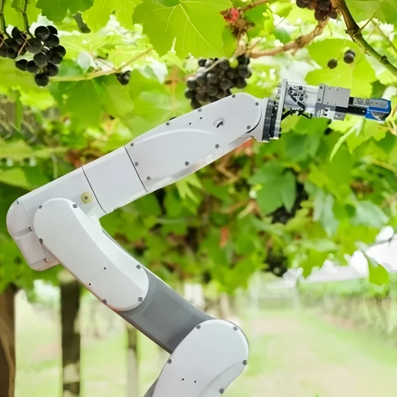 

Automated Intelligent Fruit Harvesting Variety Agricultural Vegetable Picking Accurate Robotics Harvester
