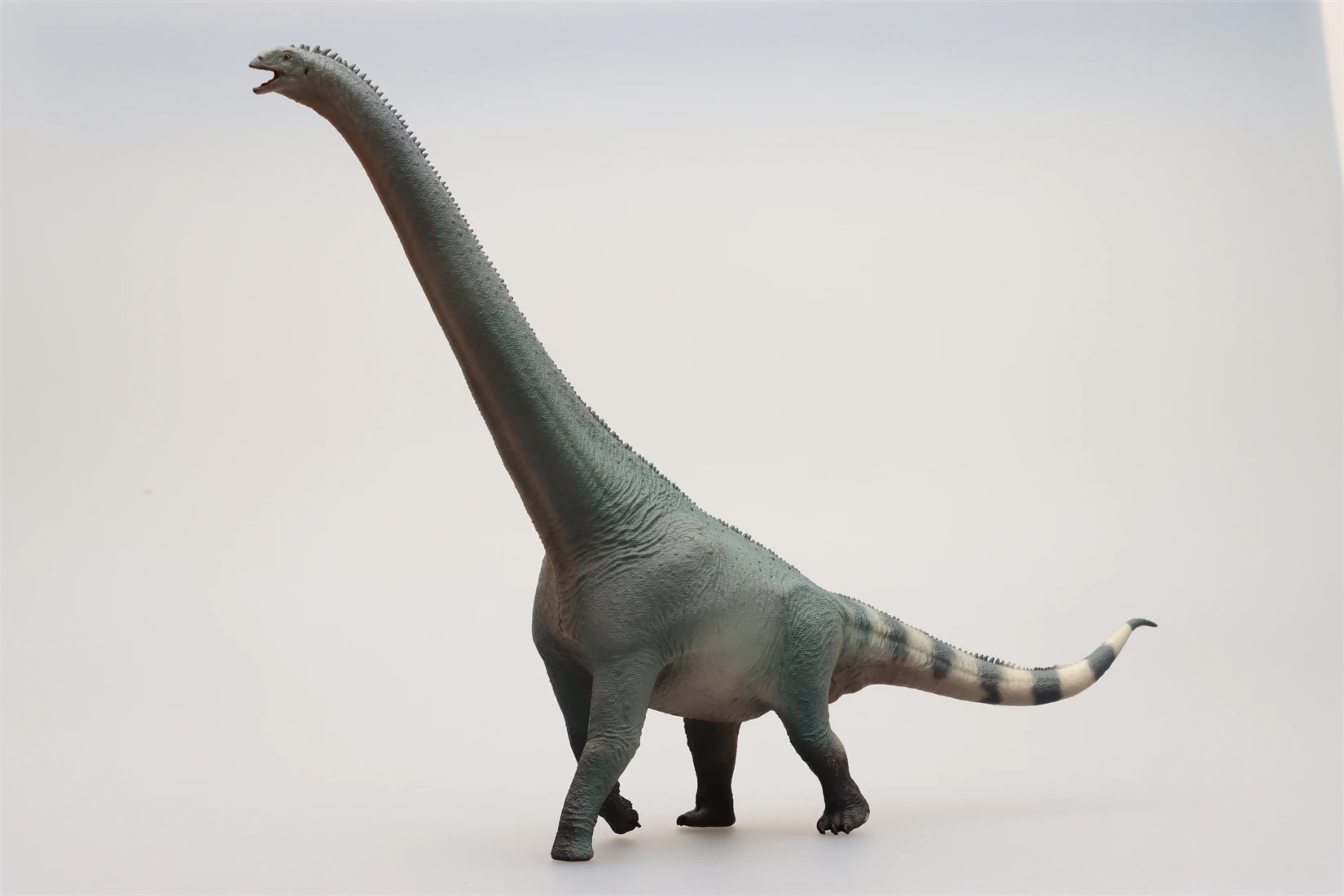 HAOLONGGOOD 1:35 Euhelopus モデル Sauropoda 恐竜 Euhelopodae 動物フィギュアコレクションシーン装飾誕生日ギフト