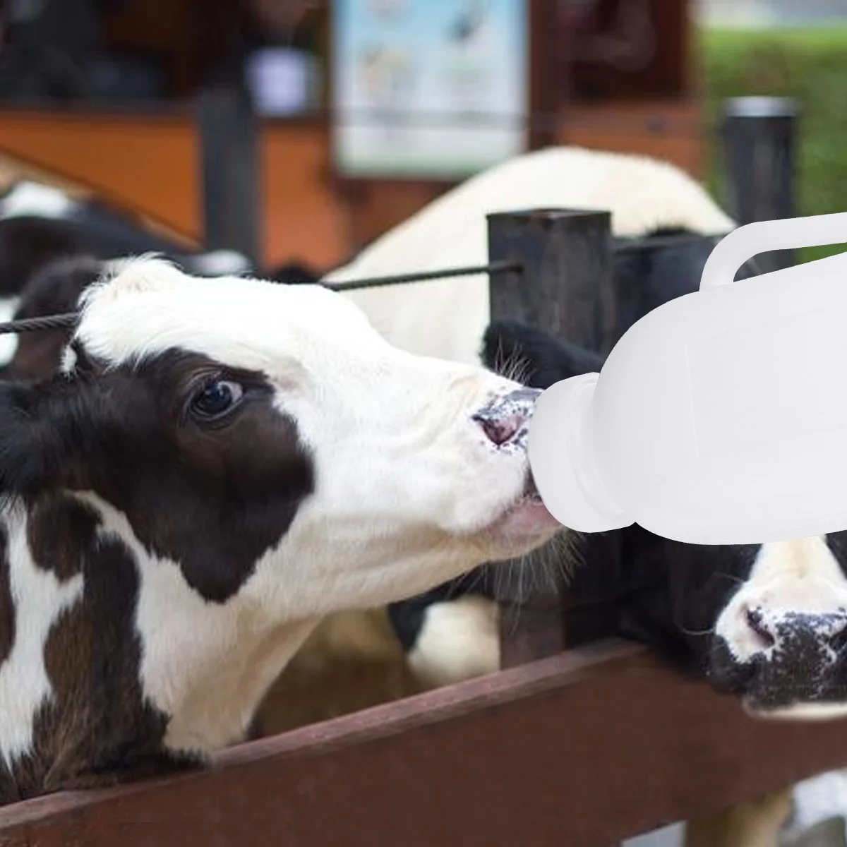 

1Set Plastic Silicone Lamb Feeding Bottle Vertical Feed Durable Large Capacity Animal Feeder for Sheep Donkeys Pigs Dogs