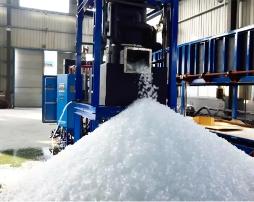 10-30 Ton/Day Tube Ice Machine Food-Grade SUS304 - China Factory
