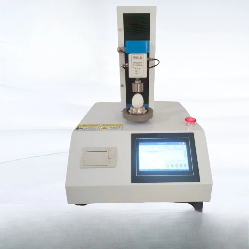 Eggshell Strength T…