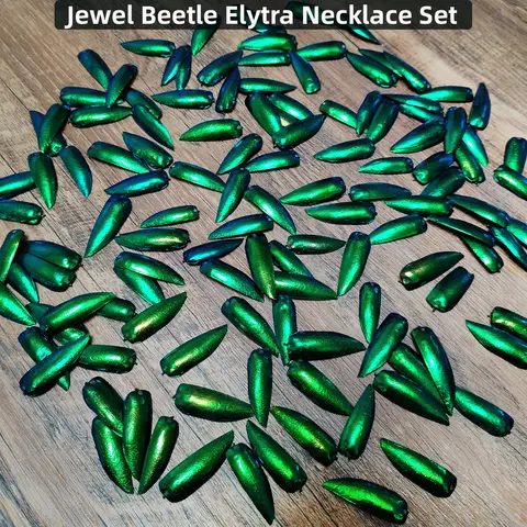 Real Jewel Beetle Wings 50 Pieces Jewel Beetle Elytra Emerald Green Real Elytron Wings Natural Insect Coleoptera Handmade Necklace Set DIY Earrings