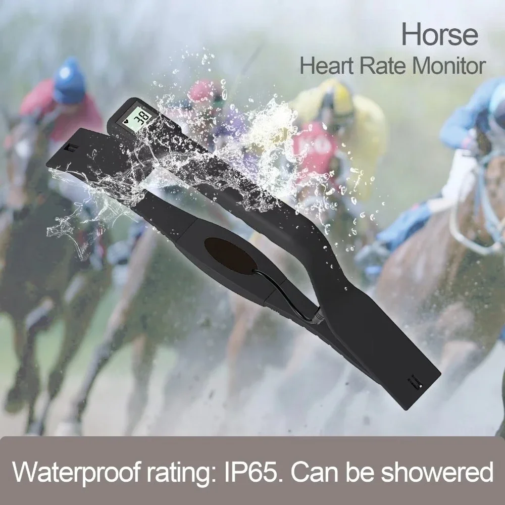 Equine Heart Rate Sensor Monitor High Accuracy Waterproof Backlit LCD for Fast Horse Heart Rate Measurement Horse Farm