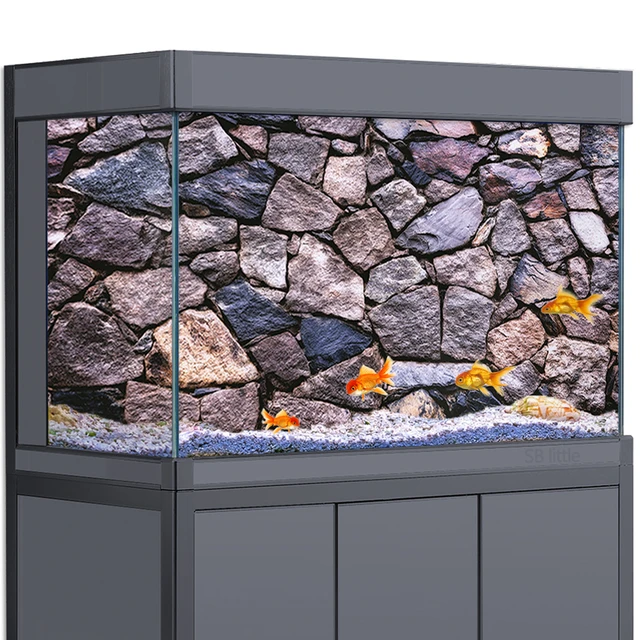 Large aquarium backgrounds hotsell