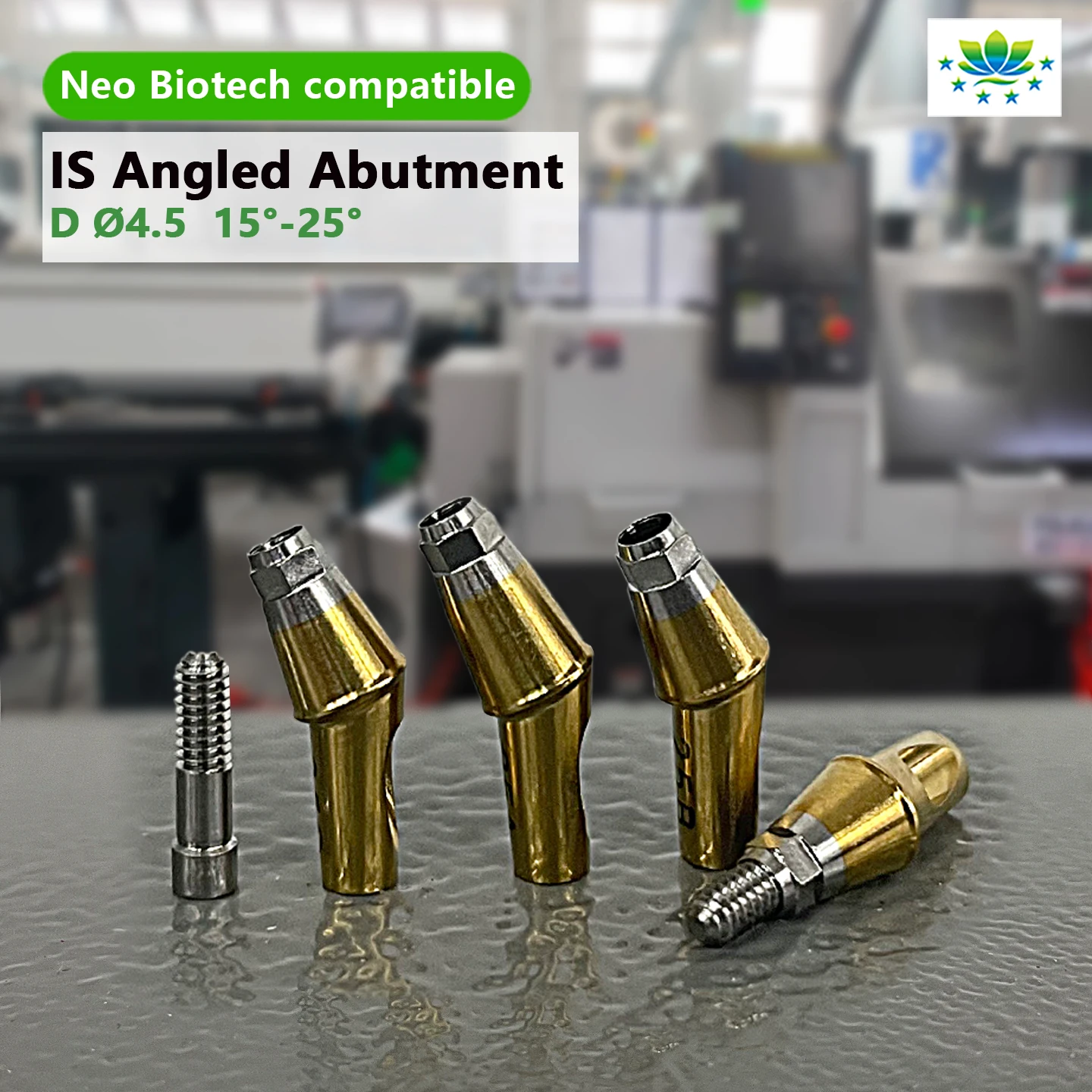 Grade 5 Titanium Angled Straight Hex Abutment With Screws for Neo Biotech Dental Restoration Precise Fit OEM in Stock Fast Ship