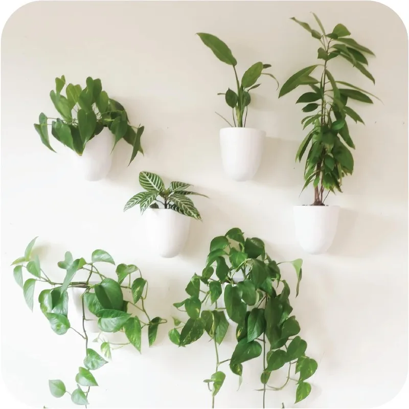 

PlantPod Luxe - Self-Watering Wall Planters (Set of 6) - Easy to Water and Install - Lightweight