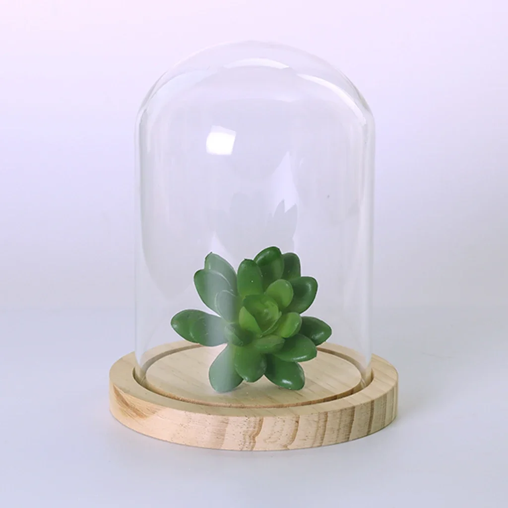 

Glass Cover Landscape Landscape Flower Vase Container Party Cupcake Cover Roundwood Tray S+L Terrarium Plant Flower Container