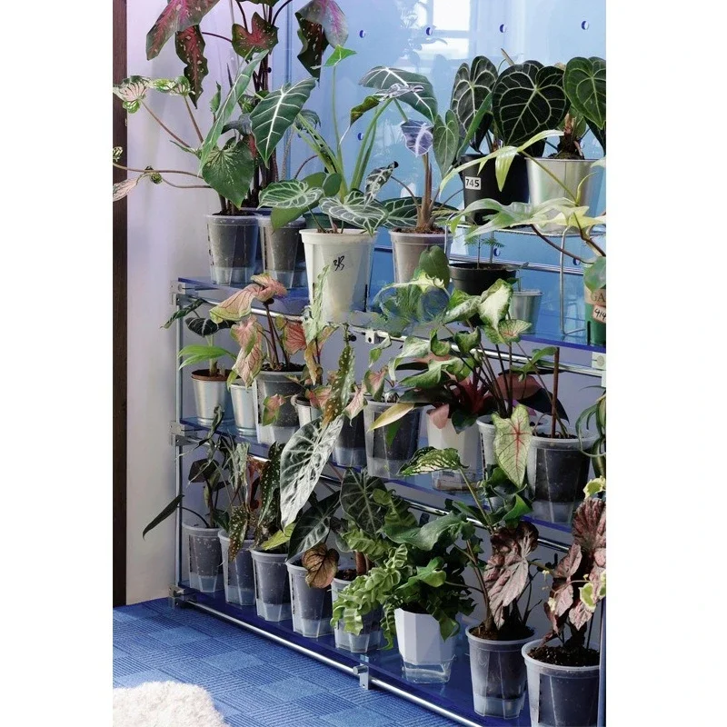 Blue flower stand, optical axis hole board rack, floor-to-ceiling multi-layer storage rack