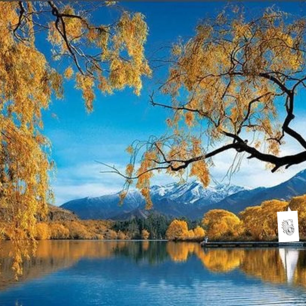 

Алюминиевая монтажная пластина двигателя GPM с ребрами радиатора для 1/10 LOSI Lasernut Tenacity Ultra 4 DB