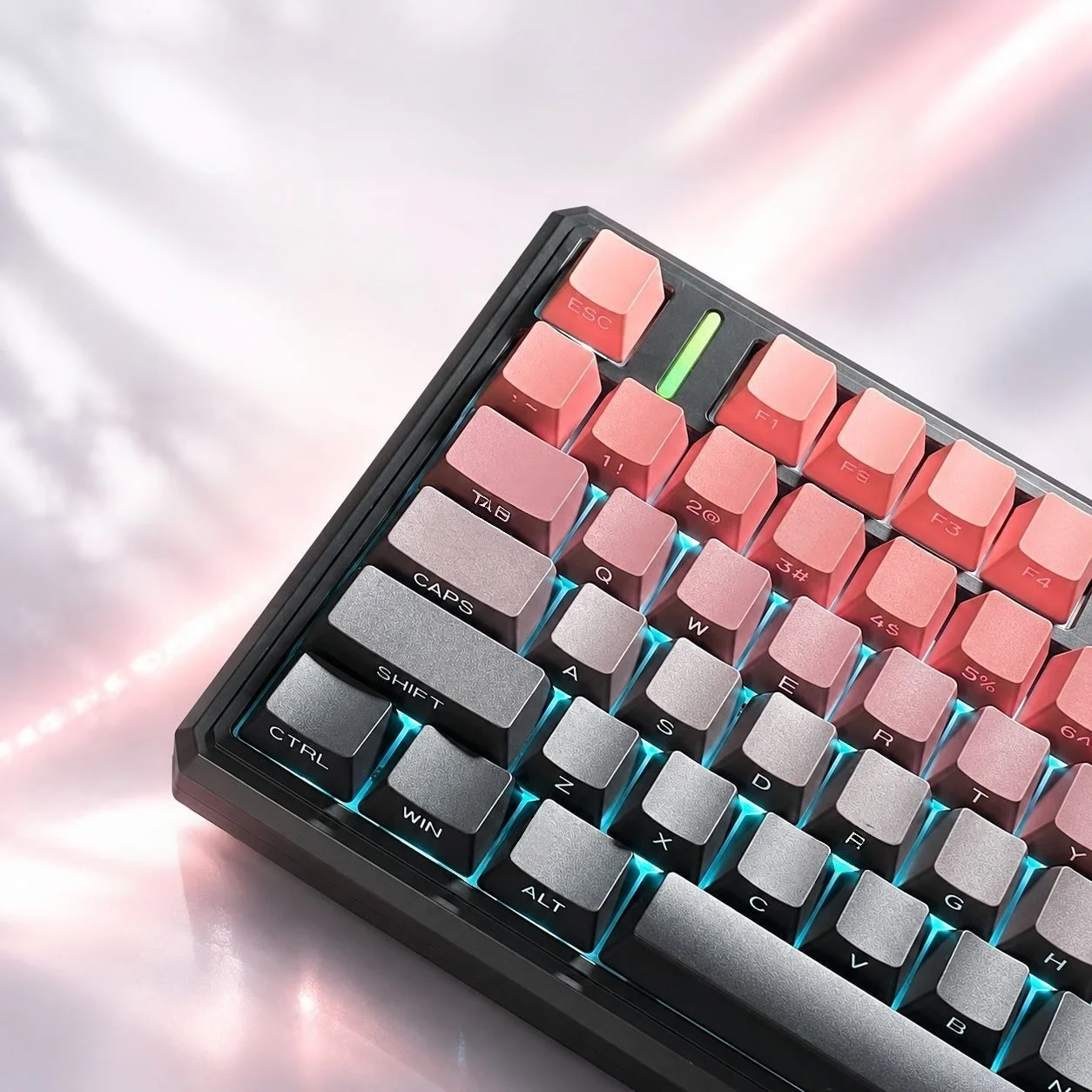 134 Keys Pink Black Shine Through Side Printed Keycaps PBT Double Shot Keycaps OEM Profile for MX Switches Gaming Keyboards