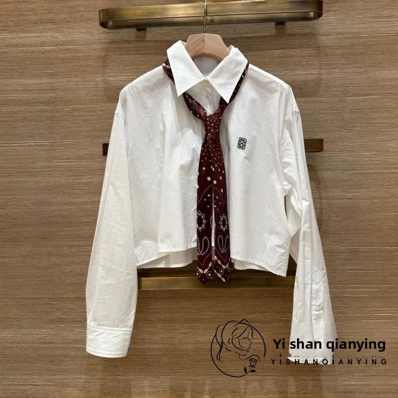 

Повседневная женская блузка с вышивкой irt ort Sle Collar Stand up, весенне-осенний сезон, длинная хлопковая блузка све