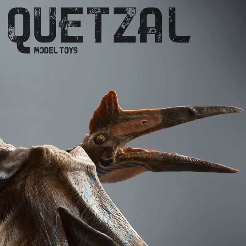 Solid Simulation Pterodactyl Dinosaur Model Toy Hard Rubber Jurassic Collection Figure Ornament Realistic Prehistoric Animal