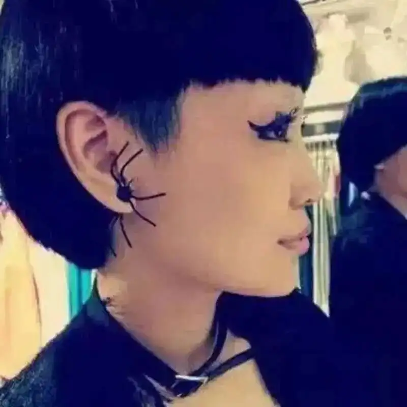 1 Pair Punk Street Cool Personality Alternative Black Spider Earrings   Exaggerated Hiphop Stud Earrings KOREAN Funny Earrings view 4