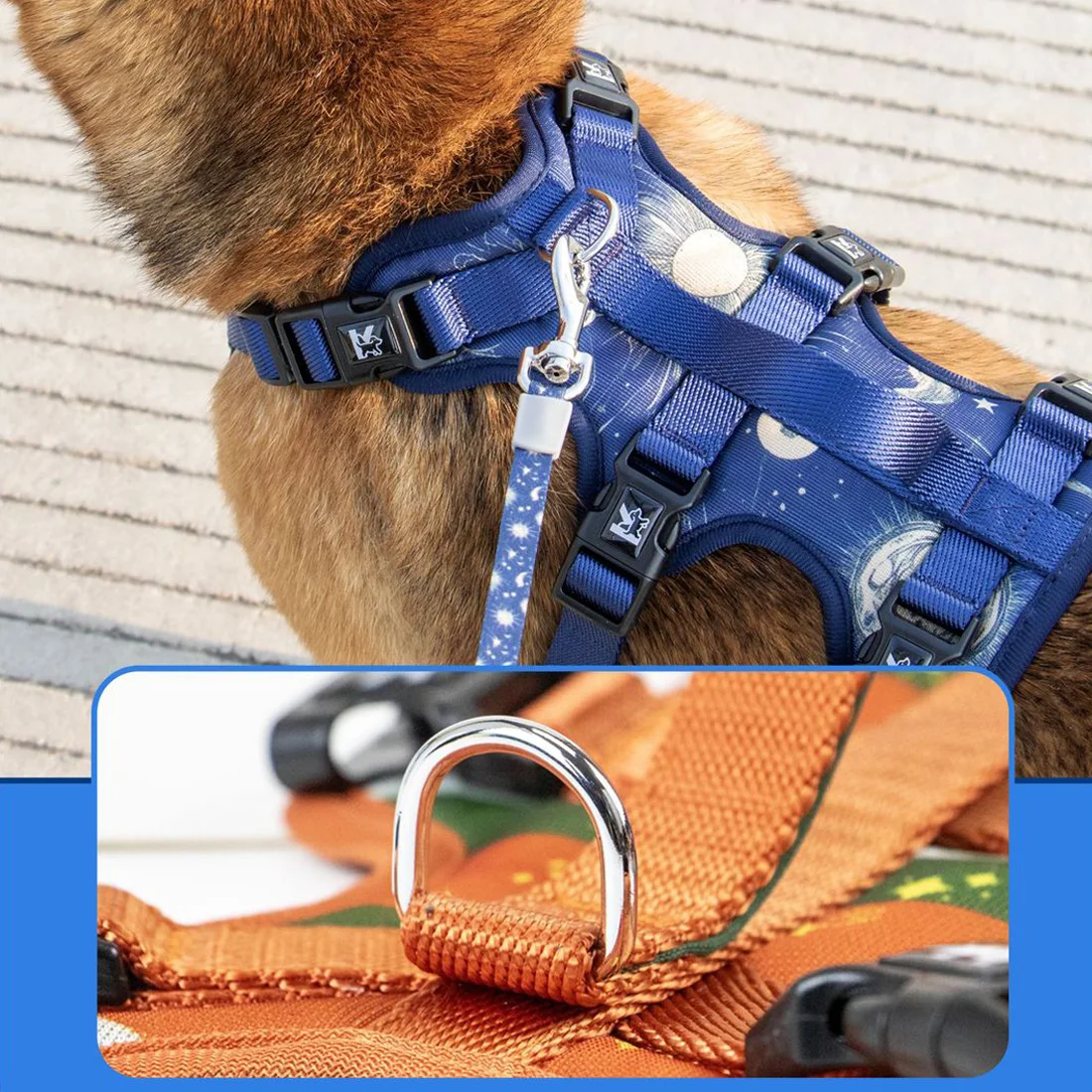 Adjustable Printed Dog Harness 5