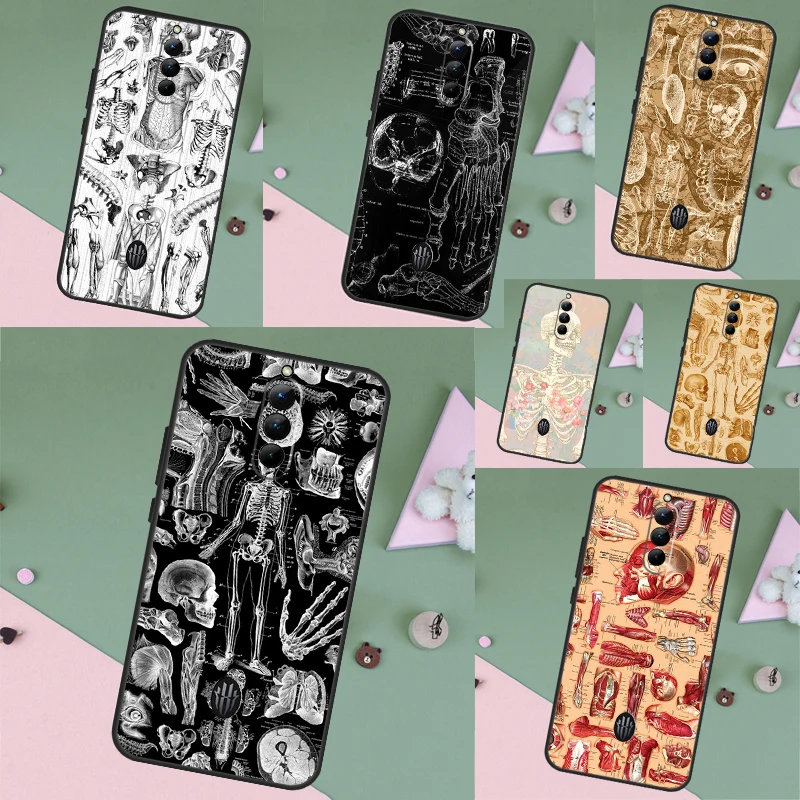 Medical Skeleton An… - image