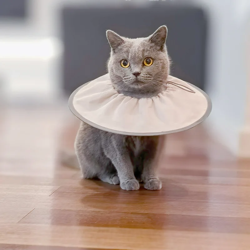 Pet Elizabethan Sterilization Care Collar Cat and Dog Grooming Collar Anti-licking and Biting Small Dog Headgear