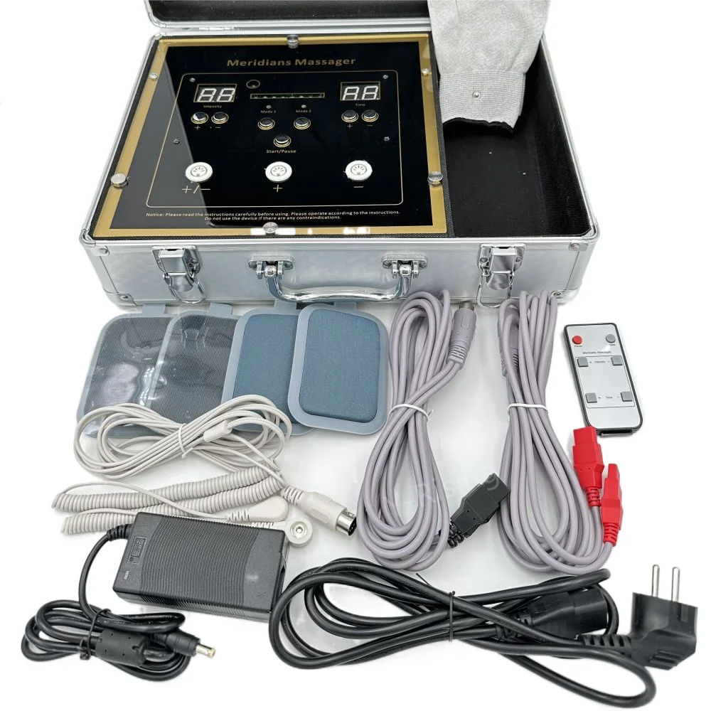 dds massager multi-function body bioelectric meridian dredge pulse physiotherapy instrument DDS electrotherapy device