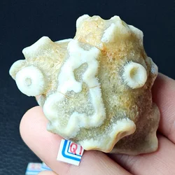 Natural Stone Mineral Specimens Crystal Palm Play Home Decoration Holiday Gifts