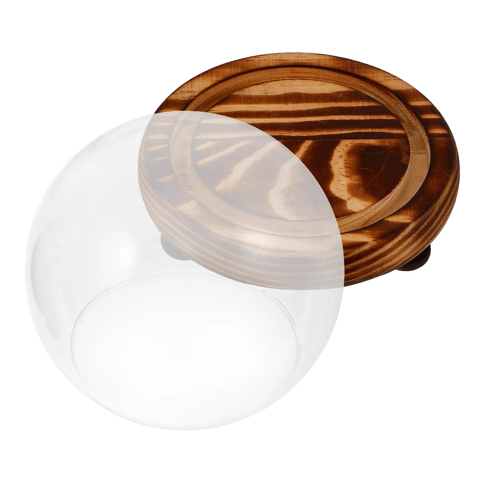 

Glass Dome Display Cloche with Wooden Base Clear Flower Glass Cover Small Display Case for Home Office Decor Rose Globe