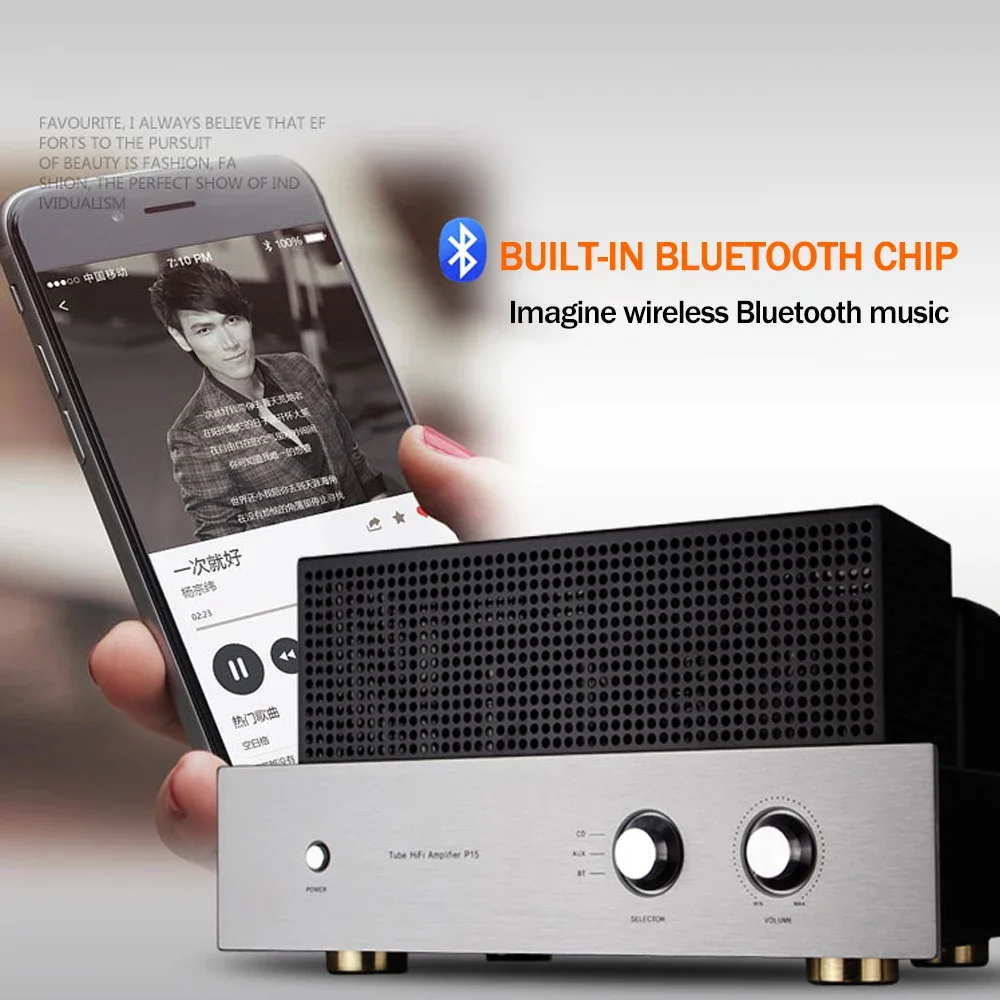 ROYANGES 6P15 أنبوب المنزل مكبر كهربائي 6H1N 6P15 صمام مُضخّم صوت بلوتوث واحدة نهاية 2.0 فئة أ ستيريو مكبر كهربائي