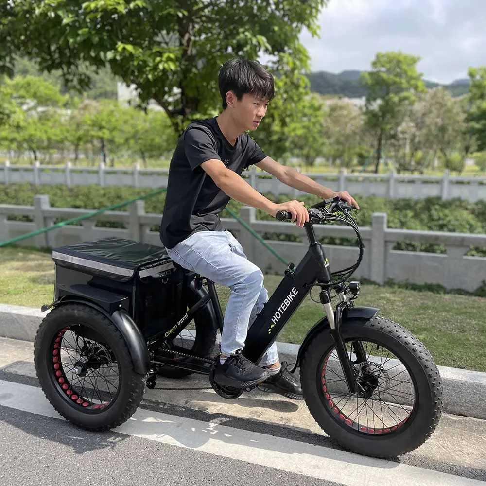 3 Wheel Electric Bike Fat Tire Electric Bike 20 26 Inch 36V 48V 250W 350W 500W 750W Electric Tricycle