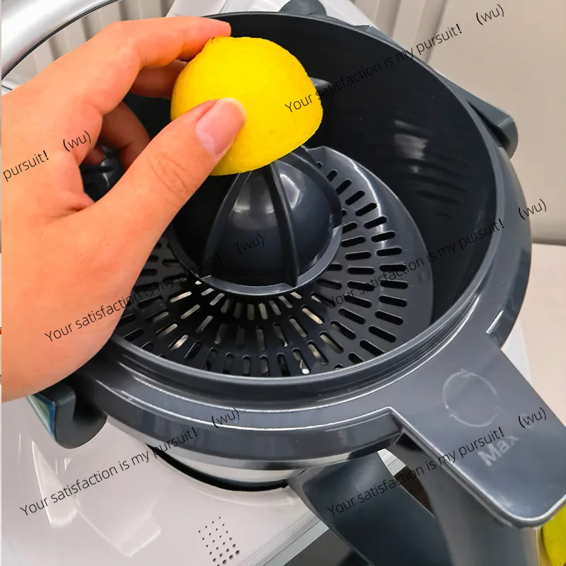Orange Juice Lemon Separation Manual Juicer TM6TM5 Universal Extraction Pressing Pure Juice